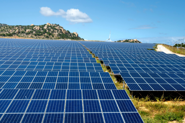 New solar, wind and battery capacity additions 'swamped' those of fossil fuels and nuclear power in the United States last year, according to a review of Energy Information Administration (EIA) data by the SUN DAY Campaign.