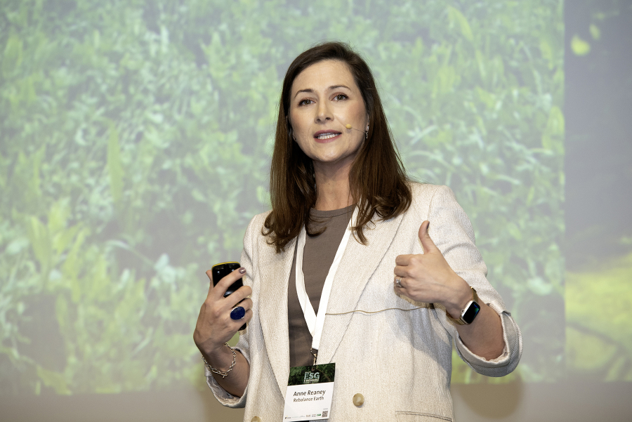 Nature is not just a 'nice to have'; it represents essential infrastructure that underpins economic stability, Anne Reaney, head of commercial strategy, Rebalance Earth, has told the Business Post ESG & Sustainable Business Summit in Dublin.