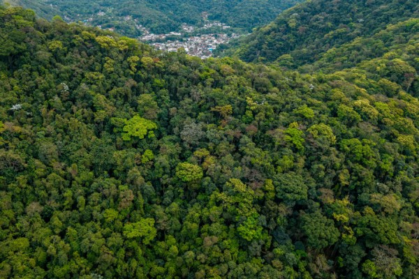 Greater trade cooperation between Brazil and China could help to 'turn the tide' when it comes to tackling global deforestation, a study by Stockholm Environment Institute's Trase project has claimed.