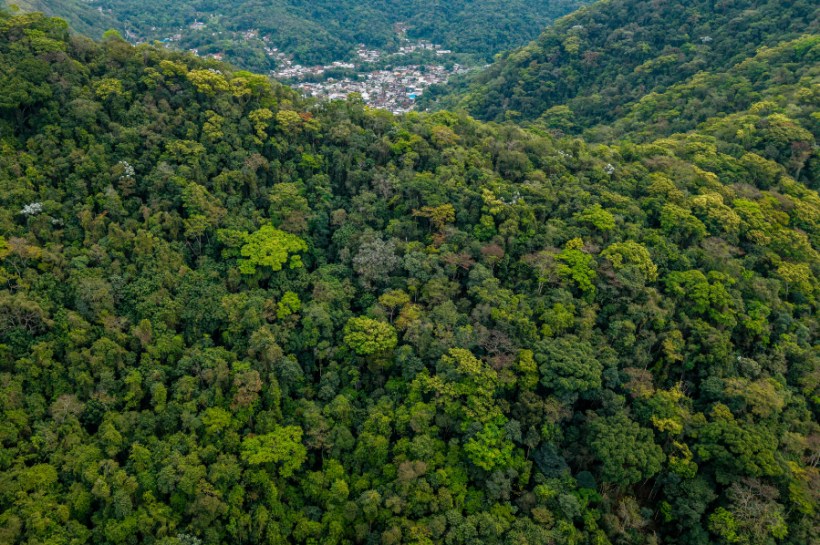Greater trade cooperation between Brazil and China could help to 'turn the tide' when it comes to tackling global deforestation, a study by Stockholm Environment Institute's Trase project has claimed.