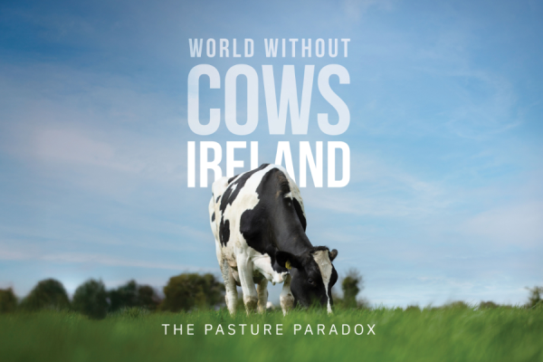 The documentary project World Without Cows, commissioned by Alltech, has spawned an Irish companion film, World Without Cows: The Pasture Paradox, which explores Ireland's pasture-based dairy landscape.