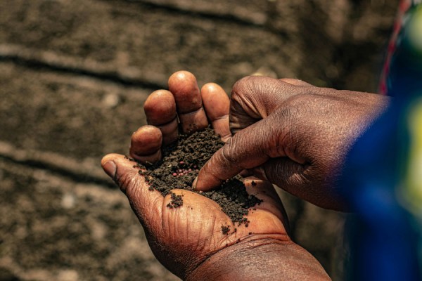 The International Seed Federation (ISF) is publishing new social sustainability guidelines aimed at improving labour and ethical practices across the global seed sector.