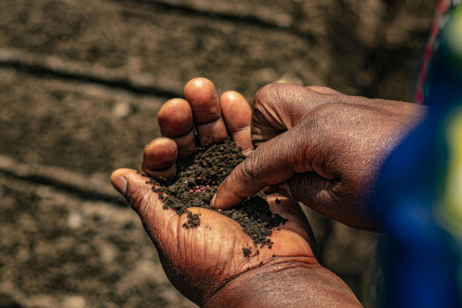 The International Seed Federation (ISF) is publishing new social sustainability guidelines aimed at improving labour and ethical practices across the global seed sector.