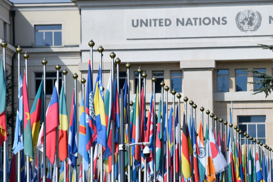 The UN General Assembly has voted 141-8 in favour of a landmark resolution backing a climate opinion issued by the International Court of Justice, which argues that countries have a legal obligation to address climate change, as well as reduce the use of fossil fuels.