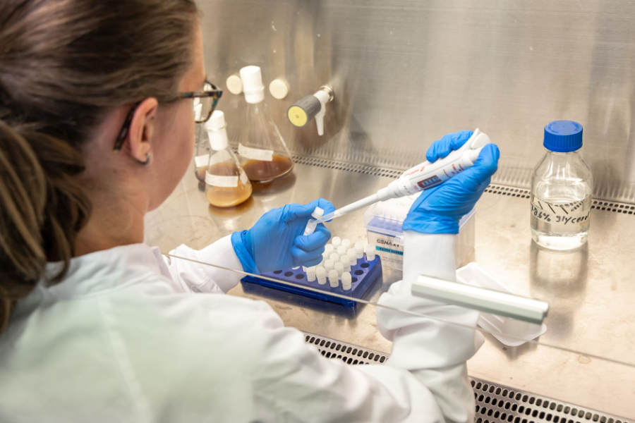 Solena Materials and The Protein Express have secured €1.4 million in funding to support the development of scalable, commercially viable protein-based textiles,