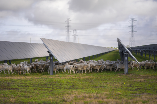 Mars recently signed an agreement with Enel North America to support three new solar projects in Texas (pictured), which will generate around 1.80 TWh of renewable electricity annually, for both Mars and its supplier network.