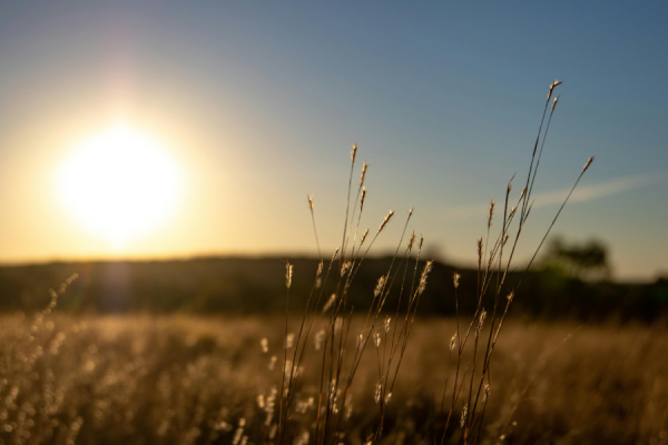 May 2026 was the second-warmest May on record, according to the latest data from the Copernicus Climate Change Service (C3S), with average global surface air temperatures reached 15.81°C.