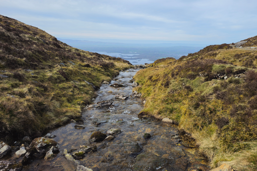 Ireland's Sustainable Water Network (SWAN) has said that the latest Environmental Protection Agency (EPA) water quality report indicates the level to which the country continues to 'fall short' in protecting rivers, lakes, and coastal waters from pollution.