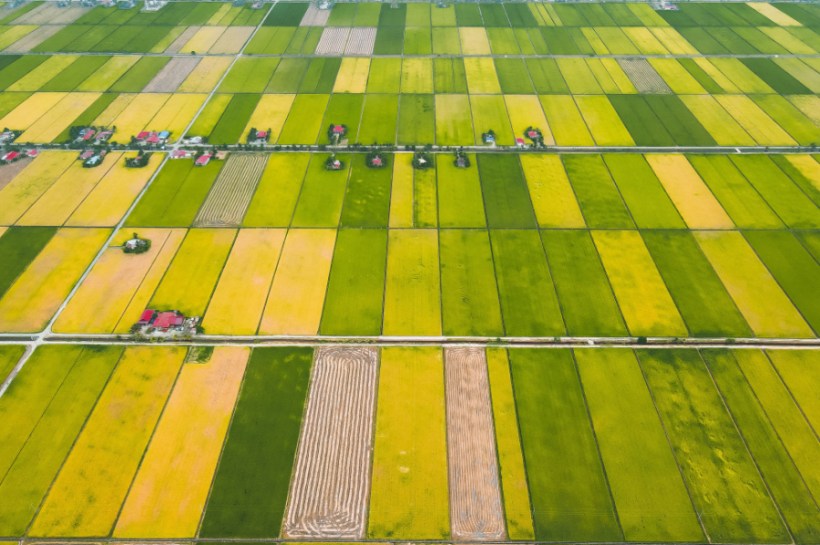 The World Economic Forum has said that the main obstacle to transforming global food systems is not a lack of capital, rather the need to develop investment structures that can attract and deploy funding at scale.