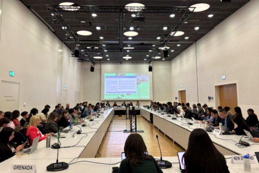 Early domestic climate action could help India reduce the economic risks associated with carbon border pricing measures introduced by major trading partners