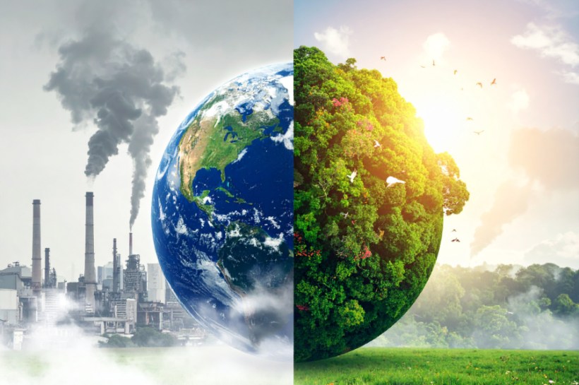 Why carbon emissions and biodiversity can’t stay in separate silos. Op-ed by Dr Tara Garraty, senior scientist and biodiversity lead, Tunley Environmental.