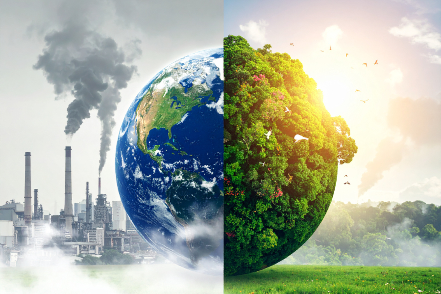 Why carbon emissions and biodiversity can’t stay in separate silos. Op-ed by Dr Tara Garraty, senior scientist and biodiversity lead, Tunley Environmental.