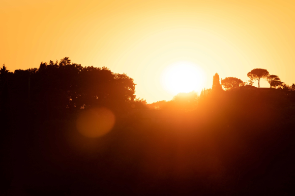 Last month was the hottest June in Western Europe since records began, according to the latest climate bulletin from the Copernicus Climate Change Service (C3S).