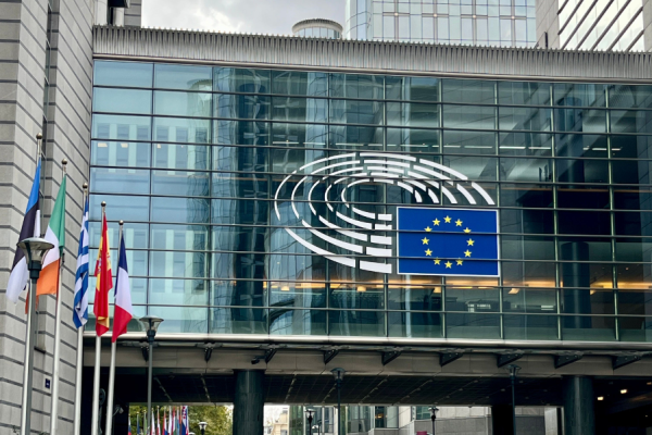 MEPs have voted to reject a European Commission regulation that would have removed soy biofuels from the list of renewable fuels by 2030, a move that could leave the EU exposed to significant retaliation penalties, Transport & Environment has said.