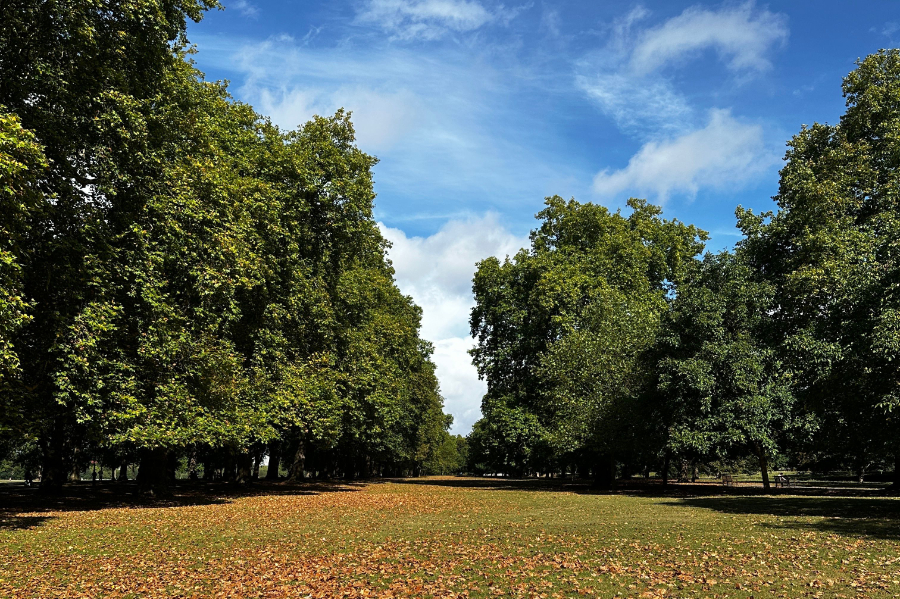 Clean air investment powered by the UK's transition to net zero could deliver some £7.7 billion in economic benefits by 2050, a new report by the Clean Air Fund has claimed.