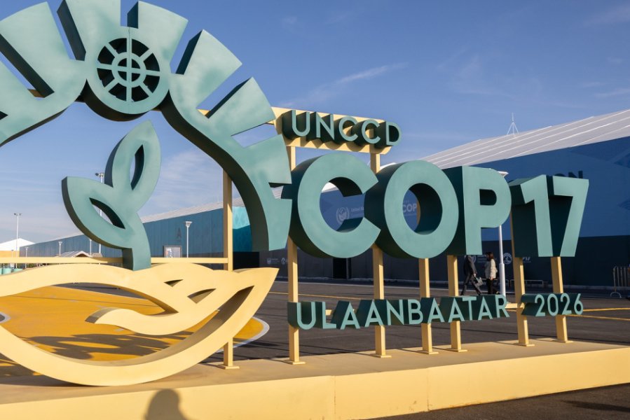 UNEP executive director Inger Andersen has said that while achievements were made at the United Nations Convention to Combat Desertification (UNCCD) COP 17 in Ulaanbaatar, Mongolia over the past couple of weeks, it 'remains clear [that] progress is still needed to tackle drought, finance and implementation of already agreed goals'.
