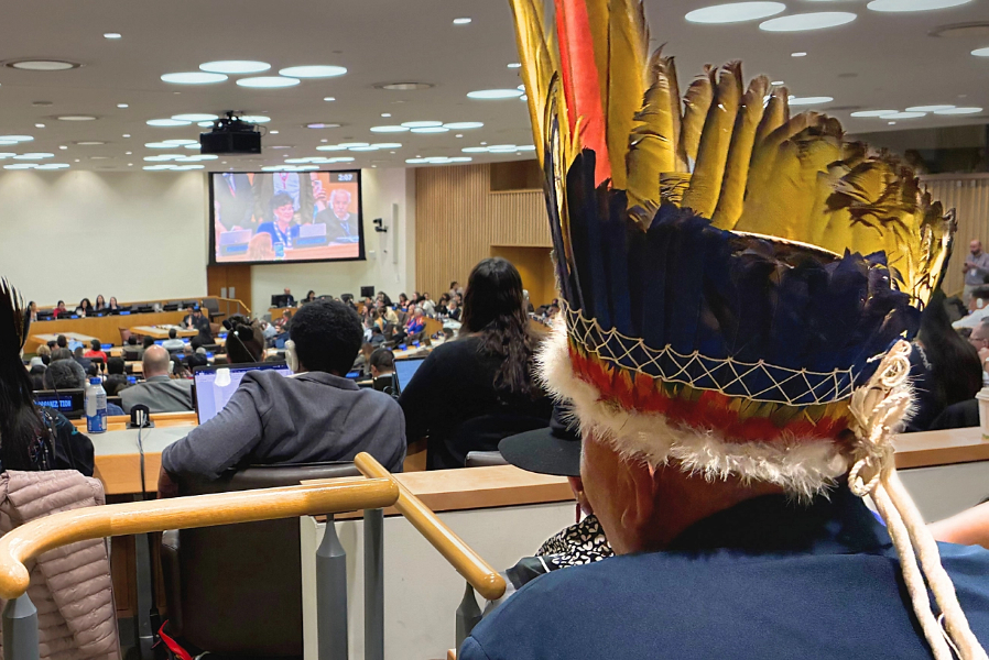 While Indigenous Peoples are gaining greater recognition and participation in environmental processes, their influence over decision-making, implementation and financing continues to be 'fragmented', according to a new report by Nia Tero.