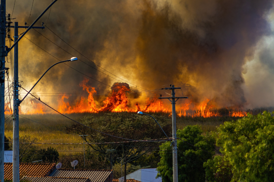More than 2.5 million properties across the ten US states most exposed to potential wildfires face a 'moderate or greater' wildfire risk, new analysis from Cotality has found.