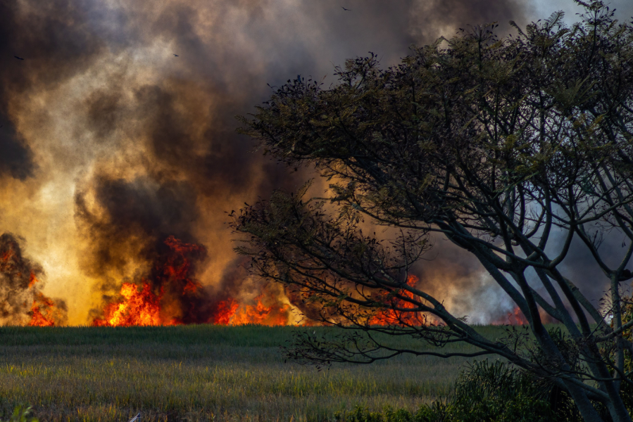 Increased wildfires across France, Spain and Greece are putting pressure on European insurance firms, exposing the 'narrow margins in high-risk property coverage', according to new analysis from GlobalData.