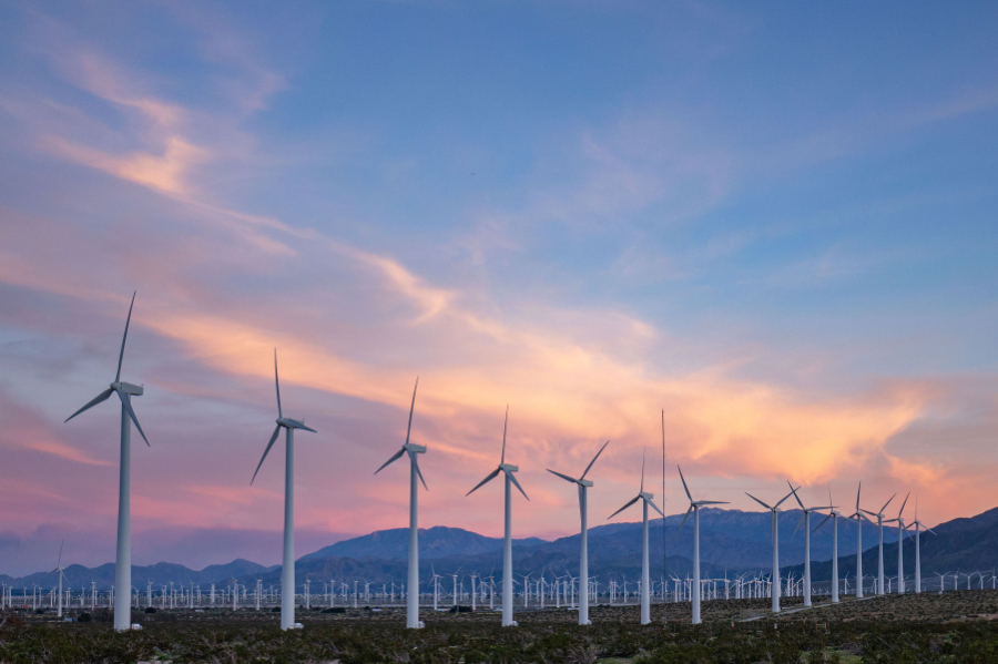 Renewable energy sources generated 30.2% of the electricity in the United States in the first half of 2026, up from 27.8% in the corresponding period last year, according to US Energy Information Administration (EIA) data, reviewed by the SUN DAY Campaign.