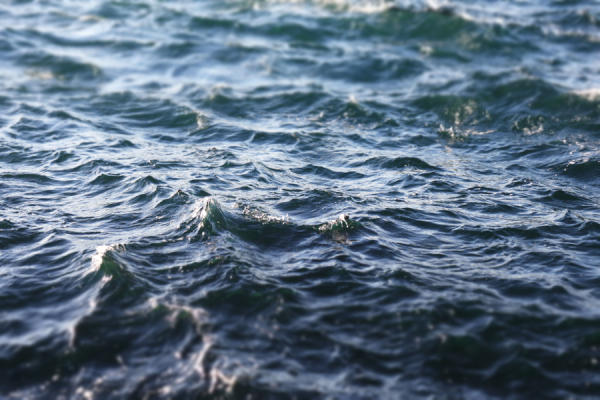Global average sea surface temperatures reached a record 21.1°C on 22 August, beating the previous daily record, which was set in March 2024, according to the Copernicus Climate Change Service (C3S).