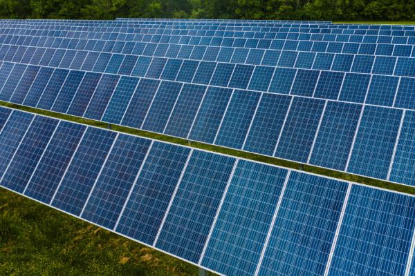 Policy changes and project cancellations are slowing the pace of expansion in US clean energy manufacturing investment, a new report from the Environmental Defense Fund (EDF) and Atlas Public Policy has found.