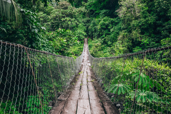 The global ecotourism market, driven by increased demand for sustainable and nature-based travel experiences, is set to be worth $561.13 billion by 2031, up from $320.74 billion last year, according to a new report by Mordor Intelligence.