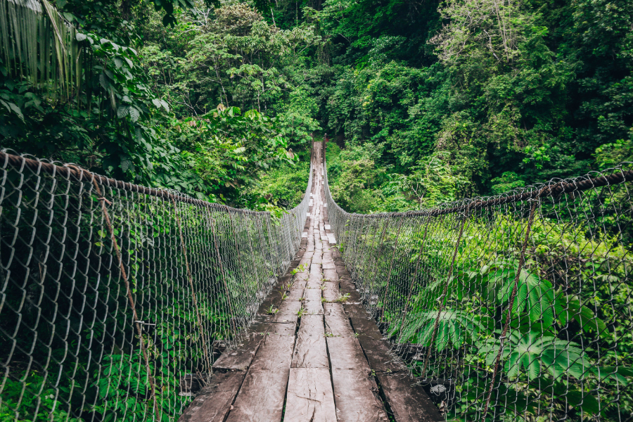 The global ecotourism market, driven by increased demand for sustainable and nature-based travel experiences, is set to be worth $561.13 billion by 2031, up from $320.74 billion last year, according to a new report by Mordor Intelligence.