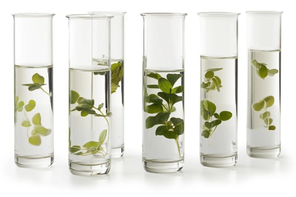 The UK is paying to invent the bioeconomy, but letting other countries keep it.