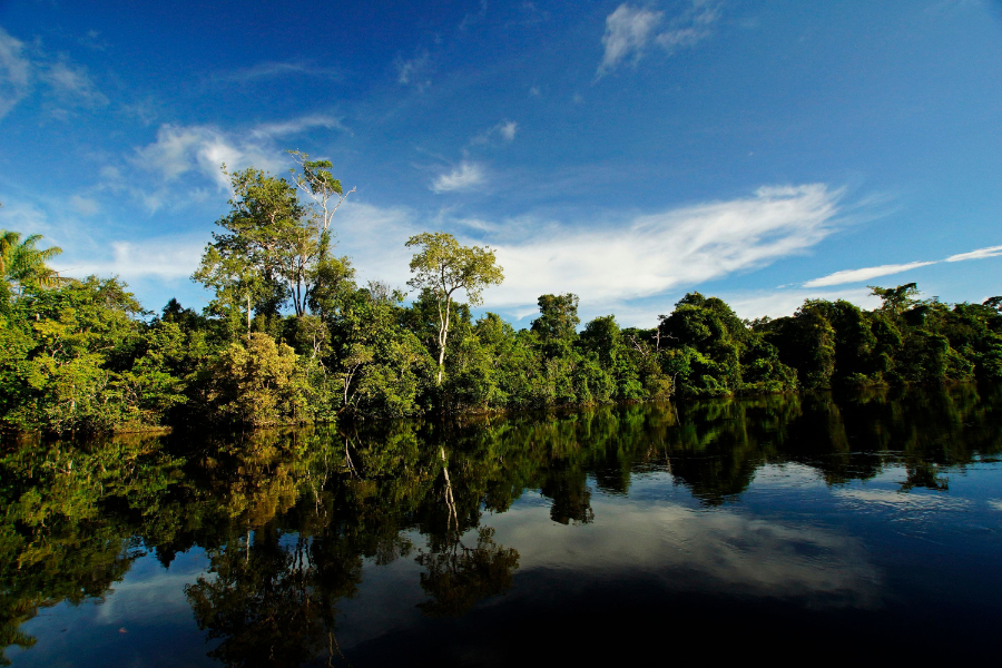 Eleven cities in Brazil's Amazon region are stepping up their climate efforts through the Brazil Mutirão Program, a partnership involving local and national governments and international networks.