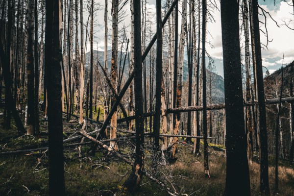 Seven planetary boundaries have now been breached, Planetary Health Check finds
