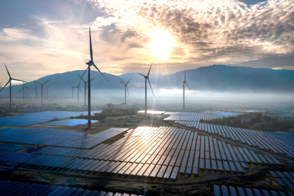 Renewable electricity share stood at 54.1% in the EU in the second quarter