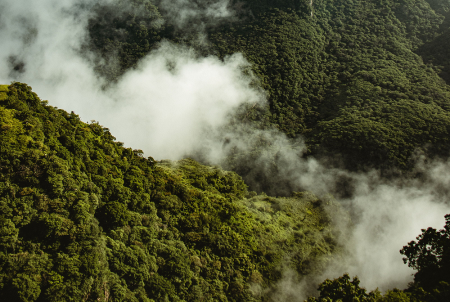 Climate campaigns that are designed to appeal to people's emotions are more effective than those that primarily present scientific information, new research from the University of Geneva (UNIGE) has suggested.