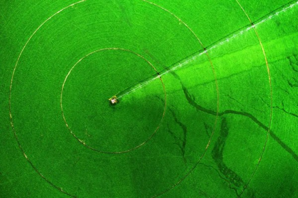 BNP Paribas Asset Management has announced the launch of its Global Sustainability Strategy for 2026 to 2030, with which it will seek to 'strengthen long-term portfolio resilience and create value for clients'.