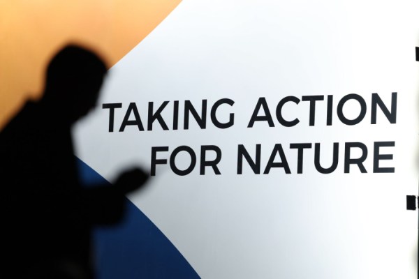 The COP17 biodiversity conference kicks off in Armenia this week, against a backdrop of sluggish progress towards the Kunming-Montreal Global Biodiversity Framework (GBF)
