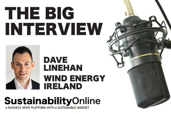 Wind Energy Ireland's Dave Linehan on the grid capacity conundrum