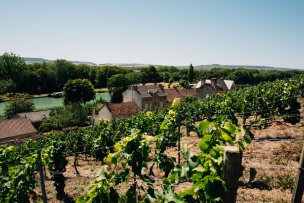 Lower volumes expected from French vineyards this year, but this doesn't necessarily mean higher prices